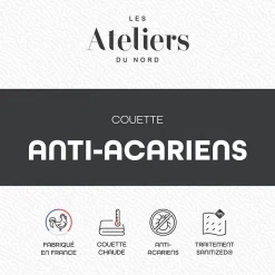 Les Ateliers du Nord - Couette Chaude Anti-acariens 240x260cm