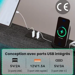 Lit avec rangement 140x200 cm double capitonné avec ports USB-C et LED, 4 tiroirs intégrés, tissu lin gris, sans matelas