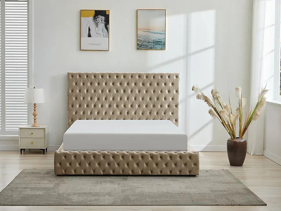 Lit coffre chesterfield 160 x 200 cm - Velours - Taupe + Matelas - DULENI