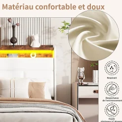 Lit coffre double 160x200 avec sommier et USB, LED, Cadre de lit avec Rangement et Tete de Lit, Blanc