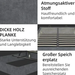 Lit Coffre Double 160x200 cm, Lit Adulte avec Vérin Hydraulique et Cadre Moderne, Sans Matelas, Gris