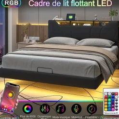 Lit Coffre 160x200 avec Sommier LED Hydraulique avec Rangement et Tete de Lit 2 Personnes Lits pour Adulte Coffre Noir+PU