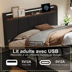 Lit Double 140 X 200 Cm Avec Éclairage LED, Prise USB, Rangement, Tête De Lit Capitonnée, Noir