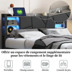 Lit Double 160x200 Métal, Cadre de lit avec éclairage LED et Charge USB, Lit Double rembourré avec 2 tiroirs, Noir