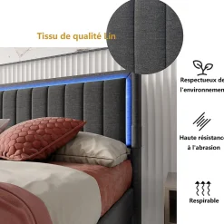 Lit 160x200 cm avec sommier à Lattes et tiroir, Lit rembourré avec USB et LED, Gris