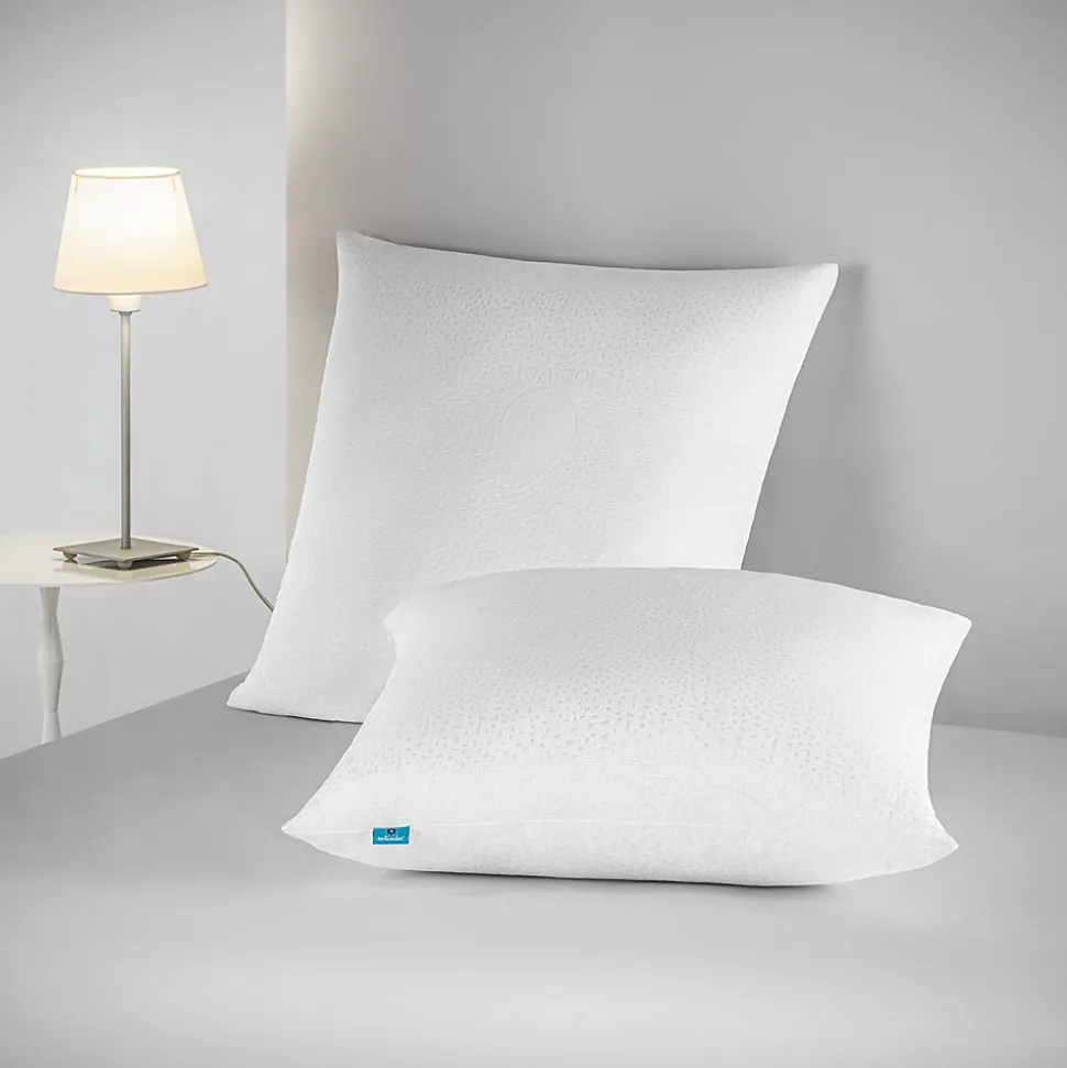 Lot 2 Oreillers 60x60 cm - Tissu Doux Aloe-Vera - Rembourrage copeaux de mousse HR - Mantien Souple