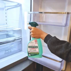 Lot 2 sprays désinfectants multi-usages Sanytol 750ml