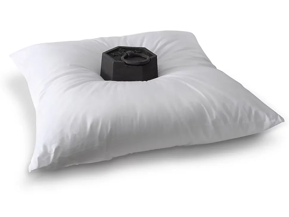 Lot de 2 oreillers - 60 x 60 cm de DREAMEA - 600 gr - MARIN