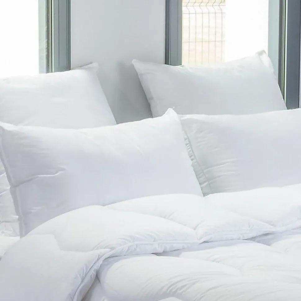 Lot de 2 oreillers 45 x 70 cm Blanrêve Gamme "Douceur" traité Anti Acarien