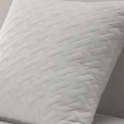 Lot de 2 oreillers a mémoire de forme 60x60 cm