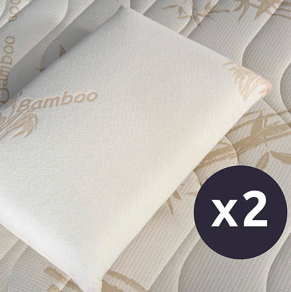 Lot de 2 oreillers Bamboo 40x60 cm Mémoire de forme
