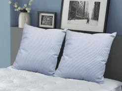 Lot de 2 oreillers DODO naturels fermes plumettes - 60x60 cm - MERIBEL