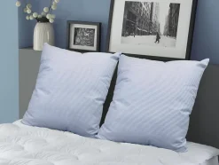 Lot de 2 oreillers DODO naturels fermes plumettes - 60x60 cm - MERIBEL