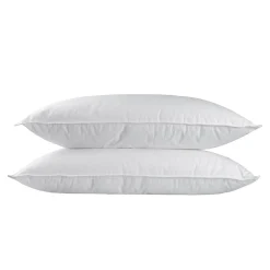 Lot de 2 oreillers en microfibre, 50 x 75 cm - HOMESCAPES