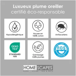 Lot de 4 oreillers en plumes de canard, 50 x 75 cm - HOMESCAPES