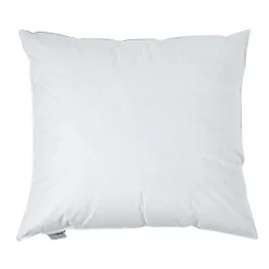 Lot de 2 oreillers en plumes et duvet d'oie, 60 x 70 cm - HOMESCAPES