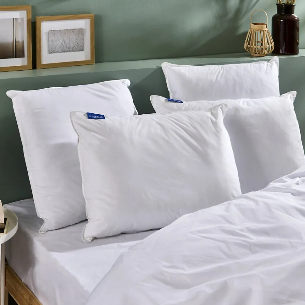 Lot de 2 Oreillers Ferme 60x60cm