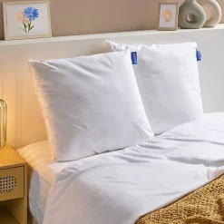 Lot de 2 Oreillers Ferme 60x60cm COTON BIO