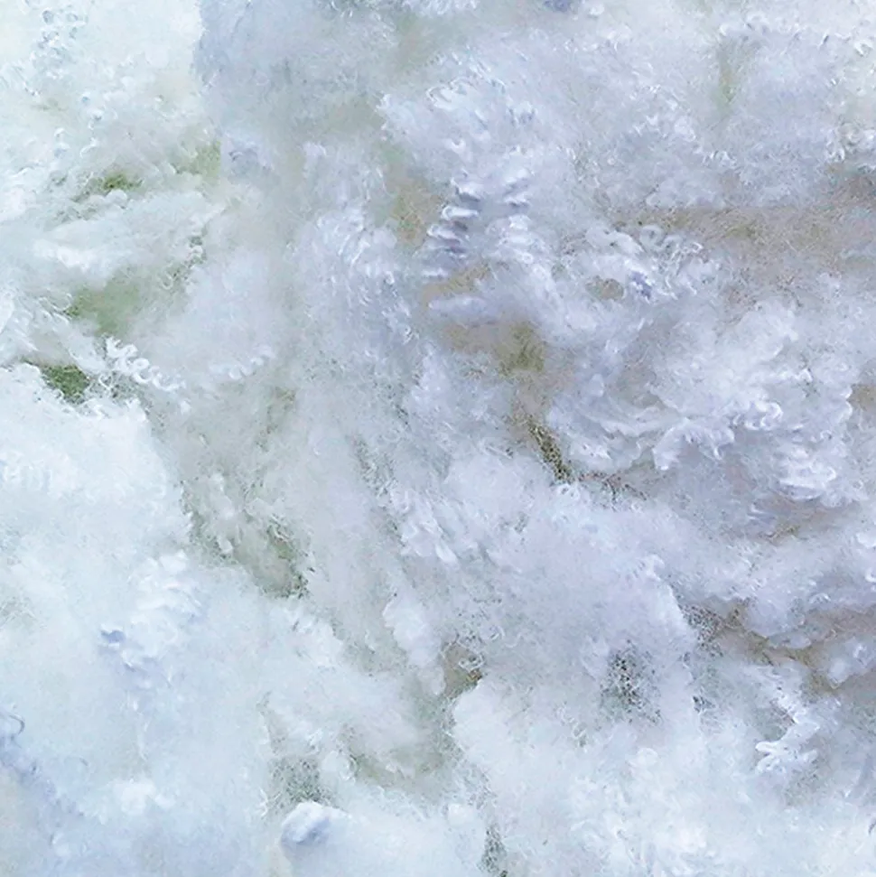 Lot de 2 oreillers Grand Palace 60x60 cm Fibres creuses polyester