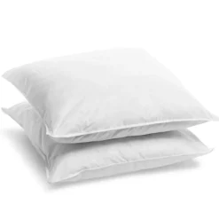 Lot de 2 Oreillers Mémoire de Forme Mixte 60x60cm