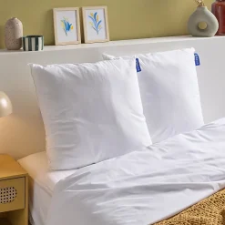 Lot de 2 Oreillers Moelleux 60x60cm COTON BIO