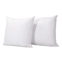 Lot de 2 oreillers Natura 65x65 cm Duvet & Plumess