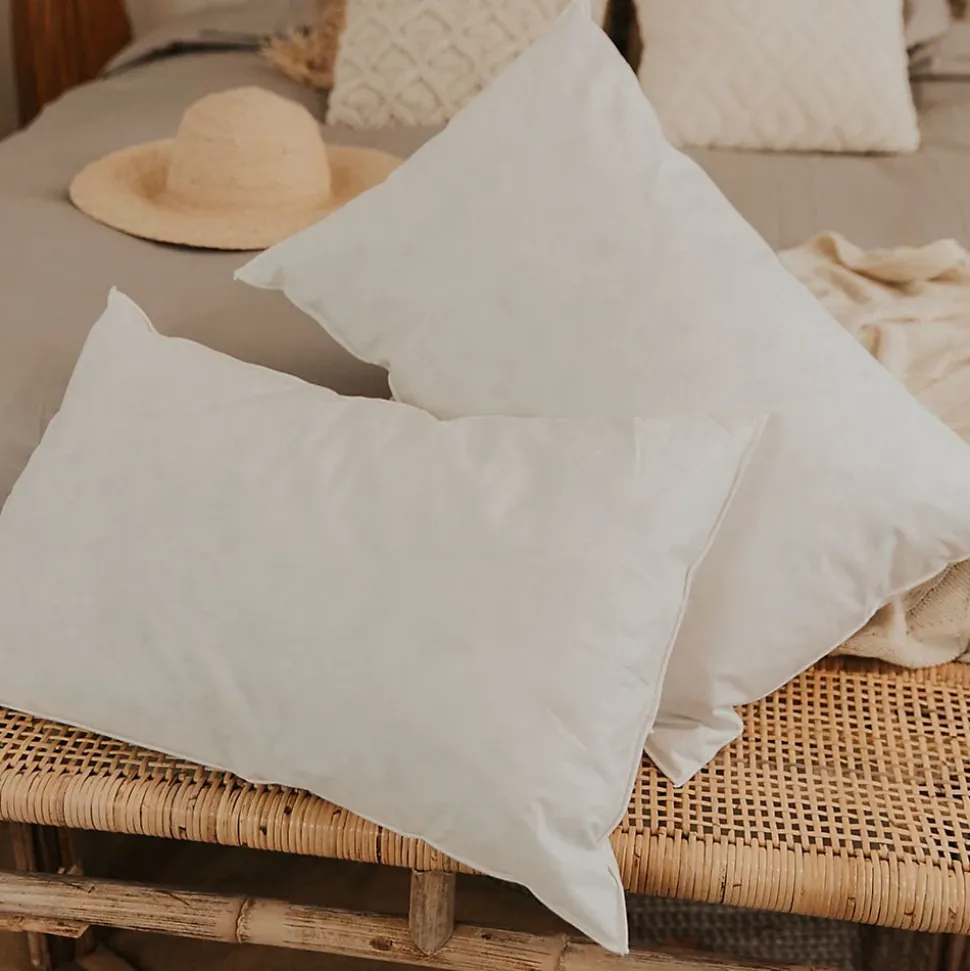 Lot de 2 oreillers Natura 65x65 cm Duvet & Plumess