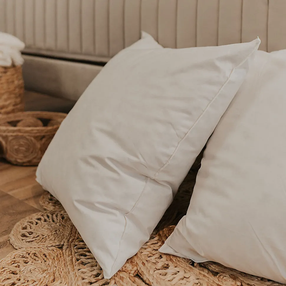 Lot de 2 oreillers Natura 60x60 cm Duvet & Plumess