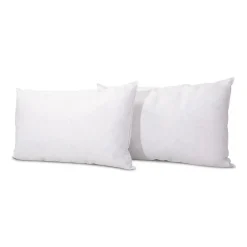 Lot de 2 oreillers Natura 45x70 cm Duvet & Plumess