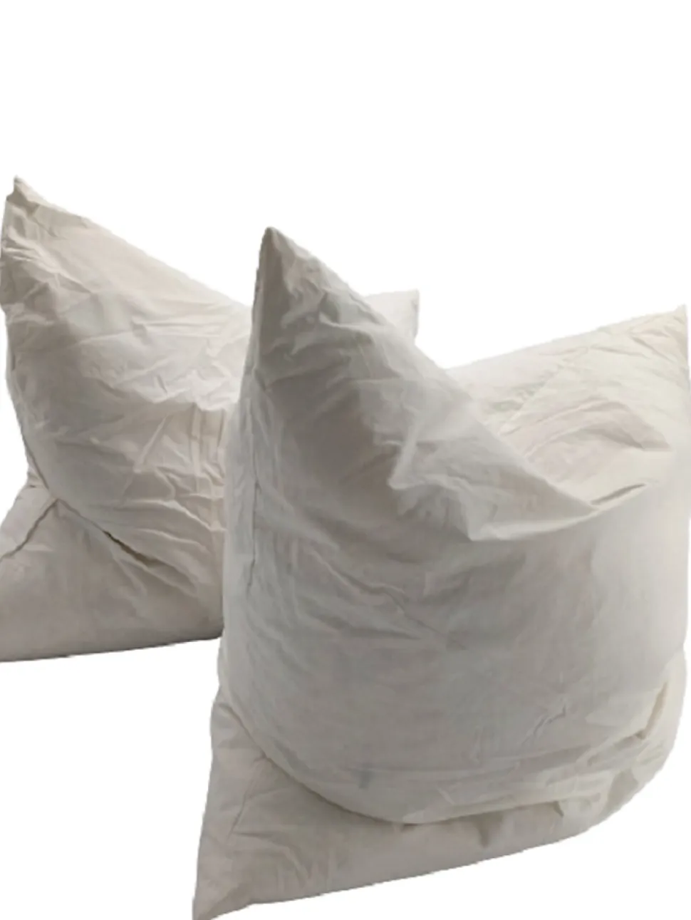 Lot De 2 Oreillers Plumettes Percale De Coton - 60x60 - 476