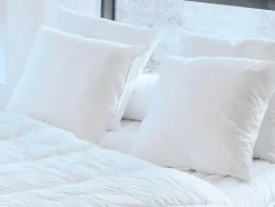 Lot de 2 oreillers recyclés 60 x 60 cm de DREAMEA - Enveloppe 100% microfibre - ROSA