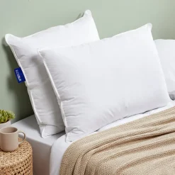 Lot de 2 oreillers Souple 50x70cm SENSATION DUVET Gonflant