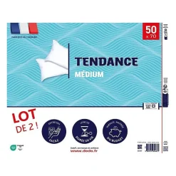 Lot de 2 oreillers Tendance 50x70 cm- 100% Polyester - DODO