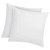 Lot de 2 oreillers traitement anti-acariens naturel Greencare - 60 x 60 cm - 550 gr - Blanc - coton - AZYLIA
