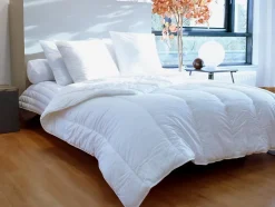 Lot de 2 oreillers traitement anti-acariens naturel Greencare - 60 x 60 cm - 550 gr - Blanc - coton - AZYLIA