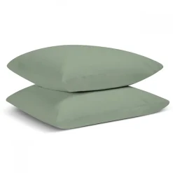 Lot de 2 Taies d'oreiller unies 50x75cm PERCALE SAUGE