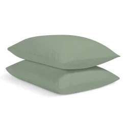 Lot de 2 Taies d'oreiller unies 65x65cm PERCALE SAUGE