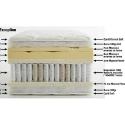Matelas Essenzia EXCEPTION 1000 90x190 Ressorts