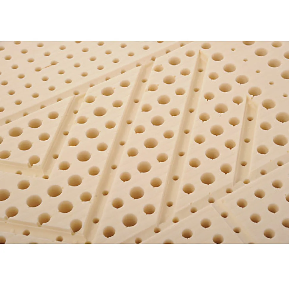 Matelas Essenzia MORPHOZONE 180 110x220 Latex