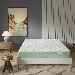 Matelas Maia - Mousse Végétale à Mémoire de Forme & Coutil Aloe Vera - Matériaux Responsables - (140 x 190 cm) - Épaisseur 22cm