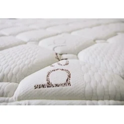 Matelas 160x190 cm Mémoire de forme Bambou epaisseur 24 cm +/-2 Fermeté Moyenne-Haute. ECCOX