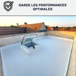 Nettoyant pour résine d'échanchéité, Cool Roof - 1 L - ARCANE INDUSTRIES