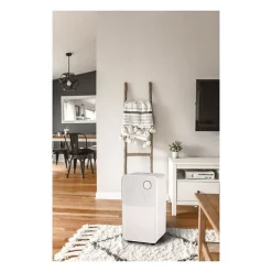 OCEANIC Deshumidificateur dair electrique - Extraction 12 litres/jour - Sechage du linge - Drainage continu - Affichage LED