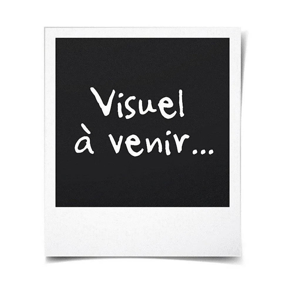 OCEANIC Deshumidificateur dair electrique - Extraction 12 litres/jour - Sechage du linge - Drainage continu - Affichage LED