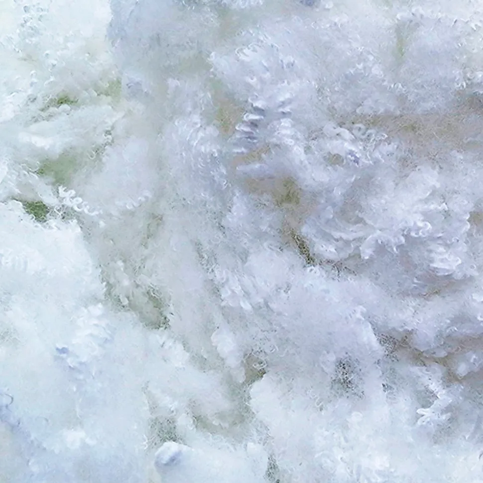 Oreiller Alaska 50x70 cm Fibres creuses polyester