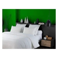 Oreiller anti-acariens 50x70 cm - 100% Polyester - DODO