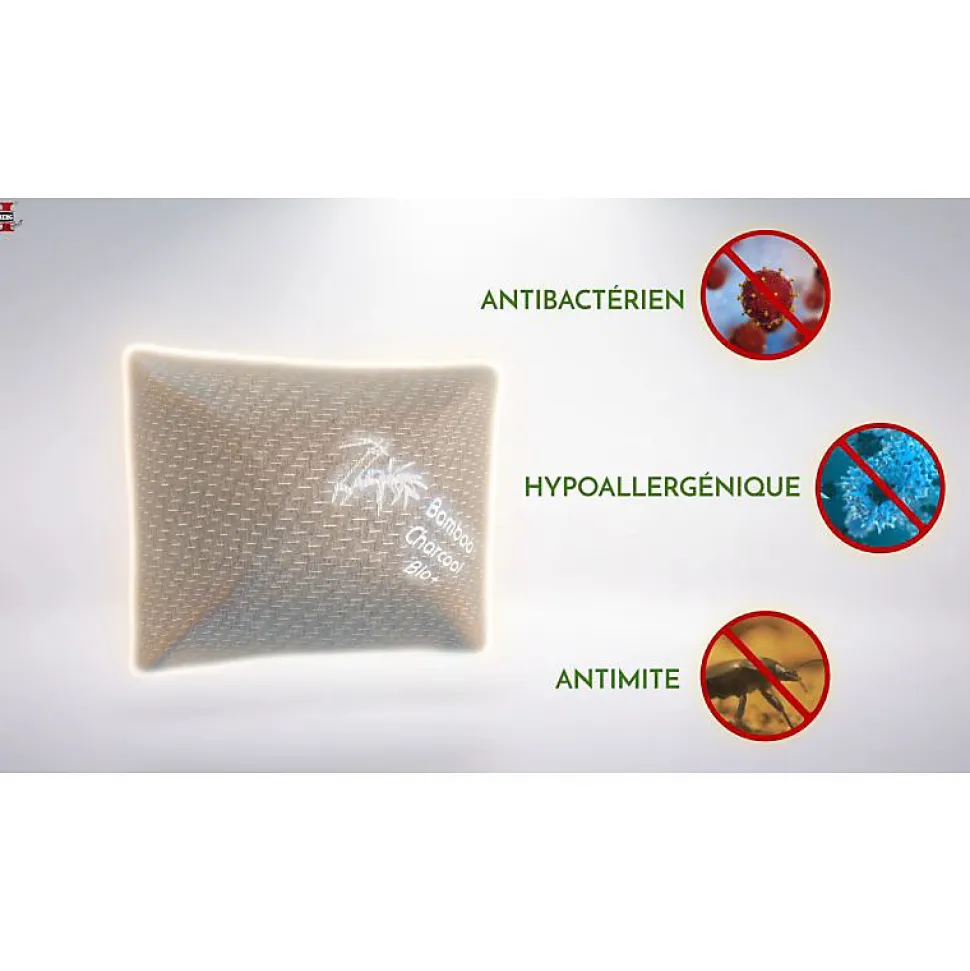 Oreiller au Charbon de Bambou Herzberg HG6050-BC