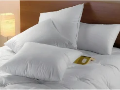 Oreiller DODO Naturel Duvet - 65x65 cm - BAFFIN