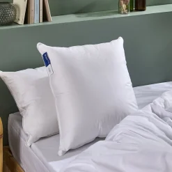 Oreiller Duvet Moelleux 60x60cm 90% DUVET DE CANARD