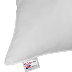 Oreiller en plumes et duvet d'oie 80 x 80 cm - HOMESCAPES